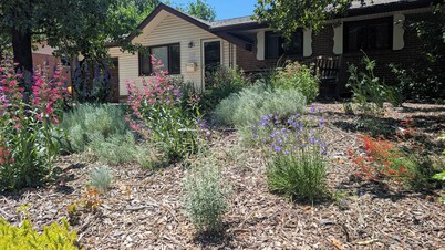 Quiet neighborhood. Easy walk to restaurants, shops, parks, trails, buses, etc.