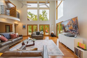 Smart TV, fireplace, video games, books