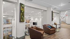 A modern office space with two leather chairs, a glass wall, and a view of a pool area.