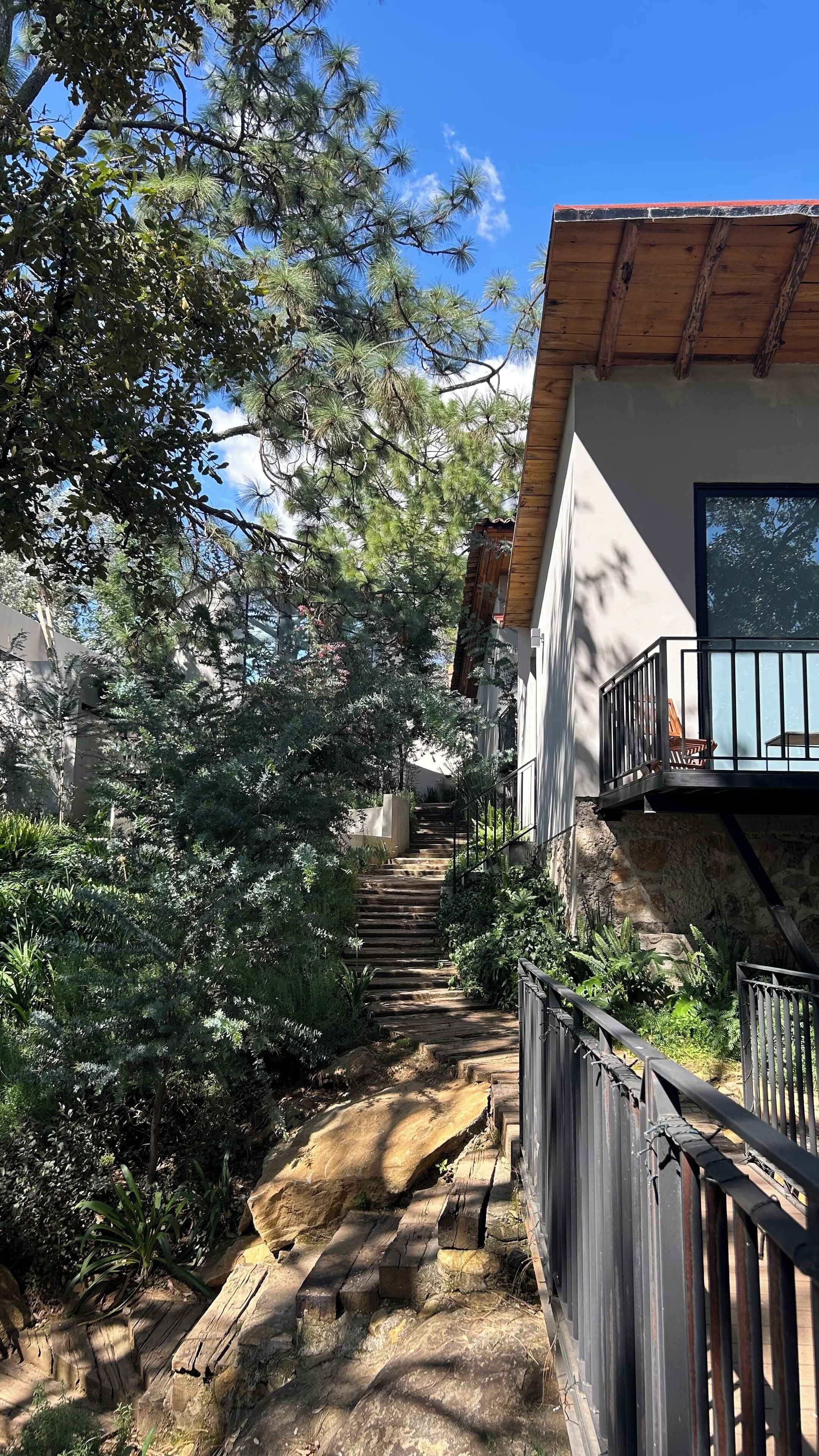 Foto - Serenzzo Hotel & Cuisine