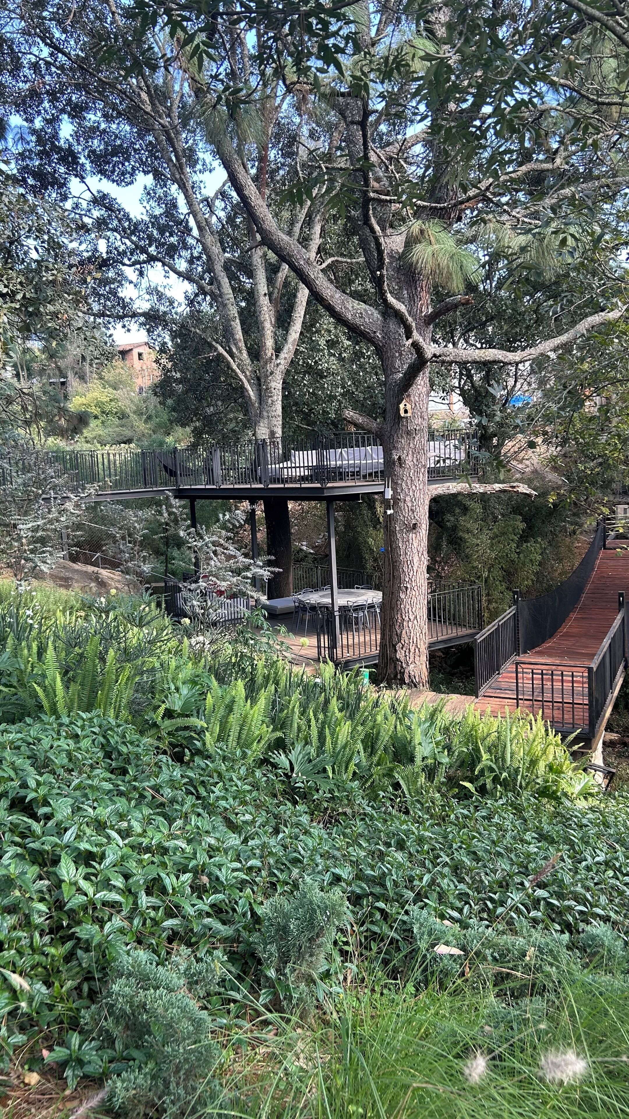 A tree-lined park with a wooden deck and a metal bridge.