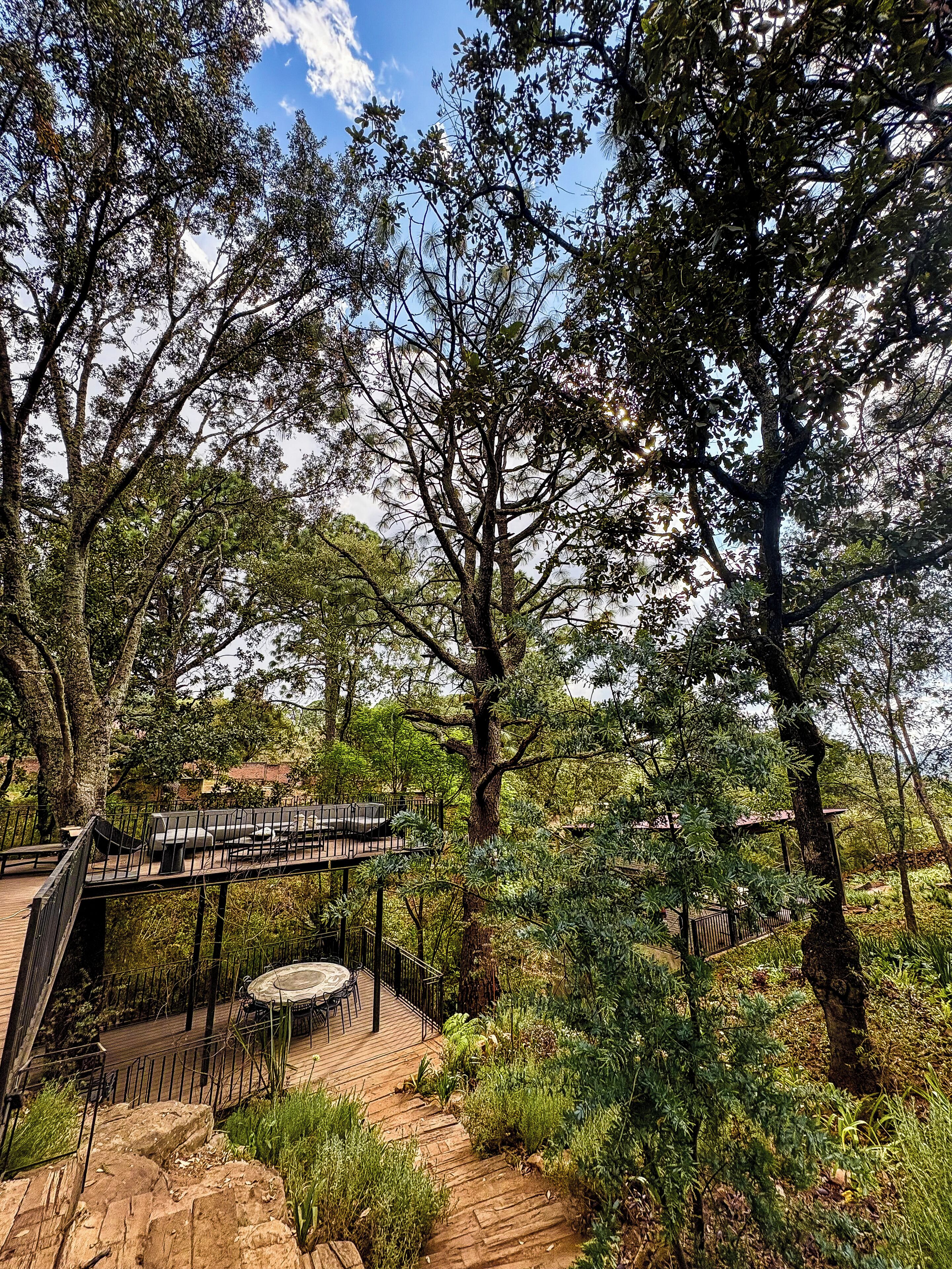 A wooden deck with a table and chairs, surrounded by trees and greenery.