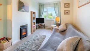 A living room with a fireplace, sofa, television, bookshelf, and a window with curtains.