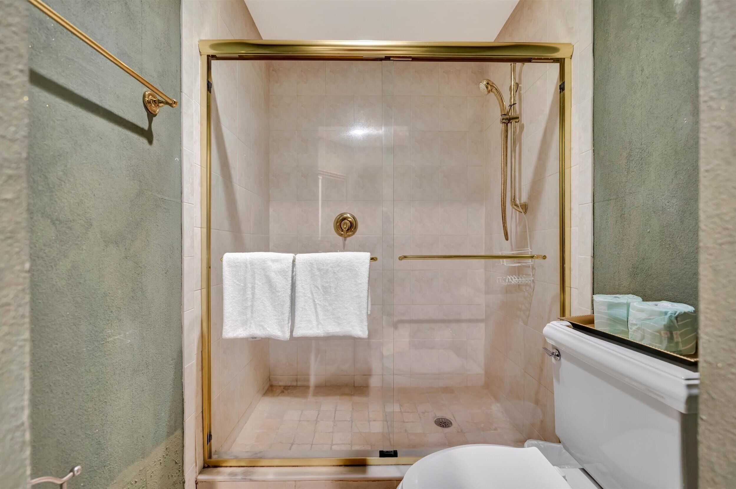 A glass-enclosed shower with a gold frame, a white toilet, and a towel rack with two towels.
