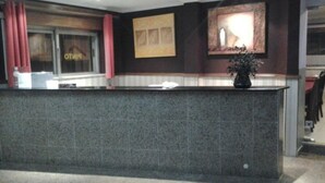 A reception area with a marble counter, a potted plant, and a framed artwork on the wall. - Residencial Pinto  (Guarda)