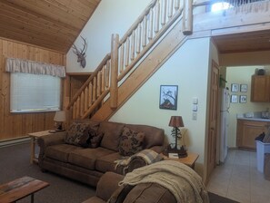 Fernseher, Kamin, DVD-Player, Bücher