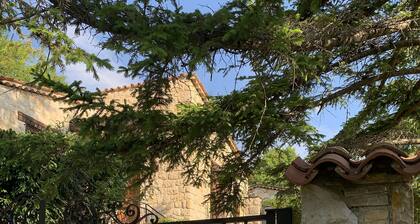 Maison en pierre de taille: jardin & vue montagne