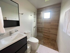 Shower, hair dryer