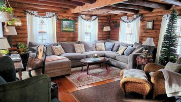 智能电视、壁炉、书、音乐库