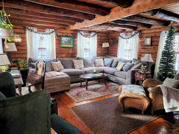 Smart TV, fireplace, books, music library