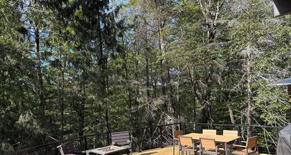 Spacious Newly renovated house with Hot tub, Game Room, Fitness room and more!