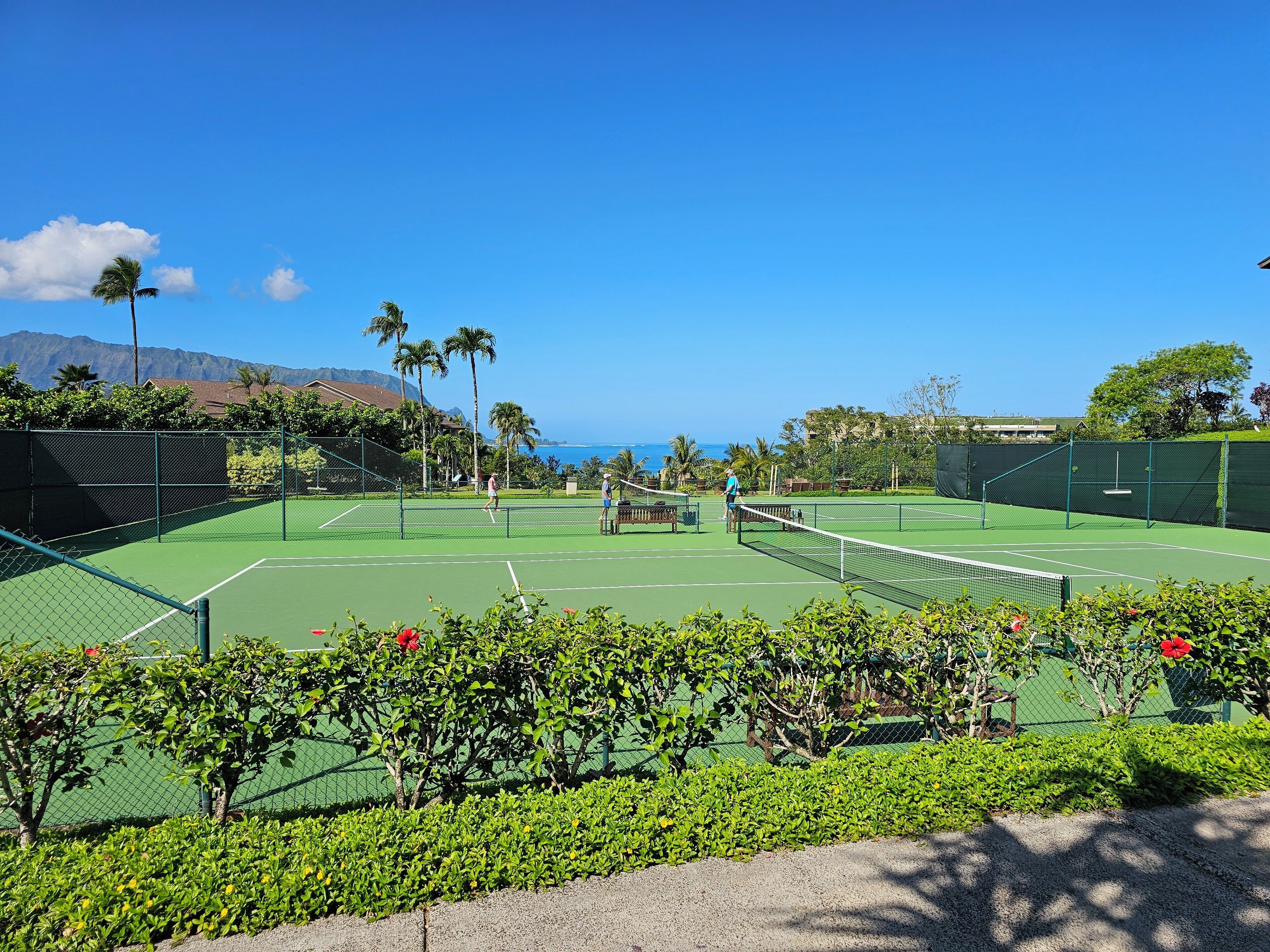 Sport court