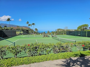 Sport court