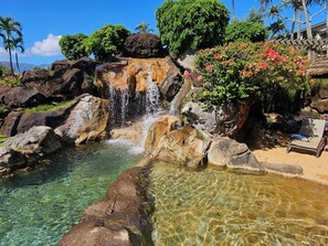 A clear pool with a waterfall, surrounded by rocks and greenery. - Gorgeous Remodeled hotel suite in Princeville w/ pools & beach access, sleeps 4 (Princeville)