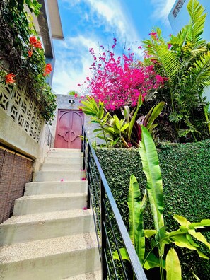 Property grounds - Kitchen, Saltwater Pool, Fast Wifi, Queen Bed, Air Conditioning - "Mar" (San Francisco)