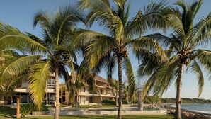 Une propriété située en bord de mer, agrémentée de palmiers, d’une piscine et d’une maison au toit de chaume.