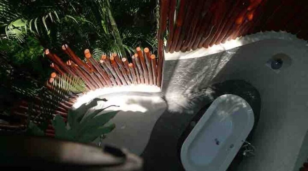 Imagen de perfil del propietario o de la propietaria