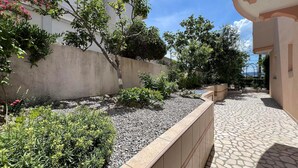Un patio con sendero de piedra, un muro bajo de contención y diversas plantas.
