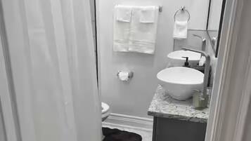 Ducha, secador de pelo, bidé y toallas