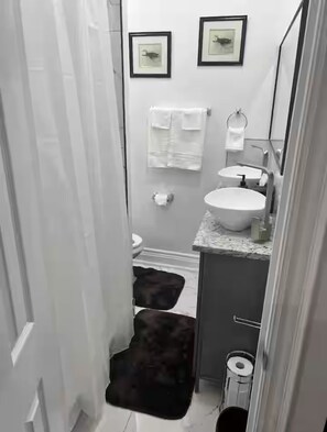 Regadera, secadora de cabello, bidet, toallas 