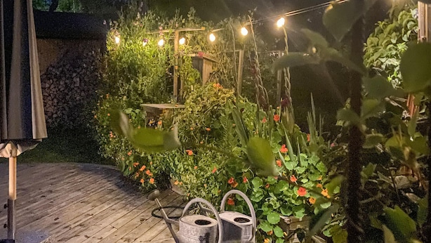 Een tuin met een houten terras, een trekwerk met klimplanten en lichtjes.