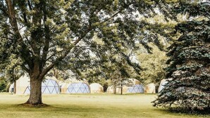 A tree-lined area with several geodesic dome tents. - Customizable Multi-Dome Buyout (South Haven)