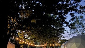 A pathway leading to a gazebo under a tree, surrounded by grass and a string of lights. - Customizable Multi-Dome Buyout (South Haven)