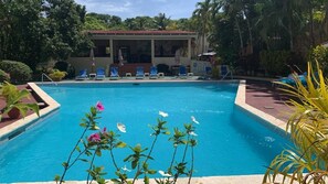 Pool - Cosy and Quiet Studio. (Sosúa)