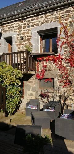 Le chat l'heureux - AURIERES