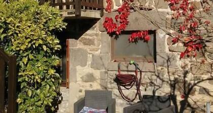 Le chat l'heureux - AURIERES