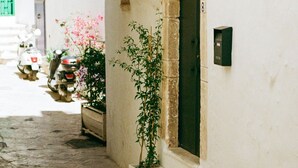 Una calle estrecha con un edificio blanco, una puerta verde y una maceta en la acera.