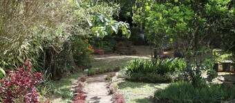 Cozy Home Volcan, family residence in Volcan, ideally located.