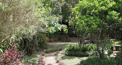 Cozy Home Volcan, family residence in Volcan, ideally located.