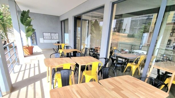 Un comedor moderno con mesas de madera y sillas amarillas, ventanas amplias y una planta en maceta.