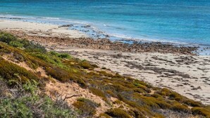 A coastal landscape with a sandy beach and rocky outcrops. - Horizons ~ Designer luxury stay with dream views (Aldinga Beach)