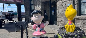 Charming 1-bedroom apartment with WiFi and AC in fabulous Santa Rosa