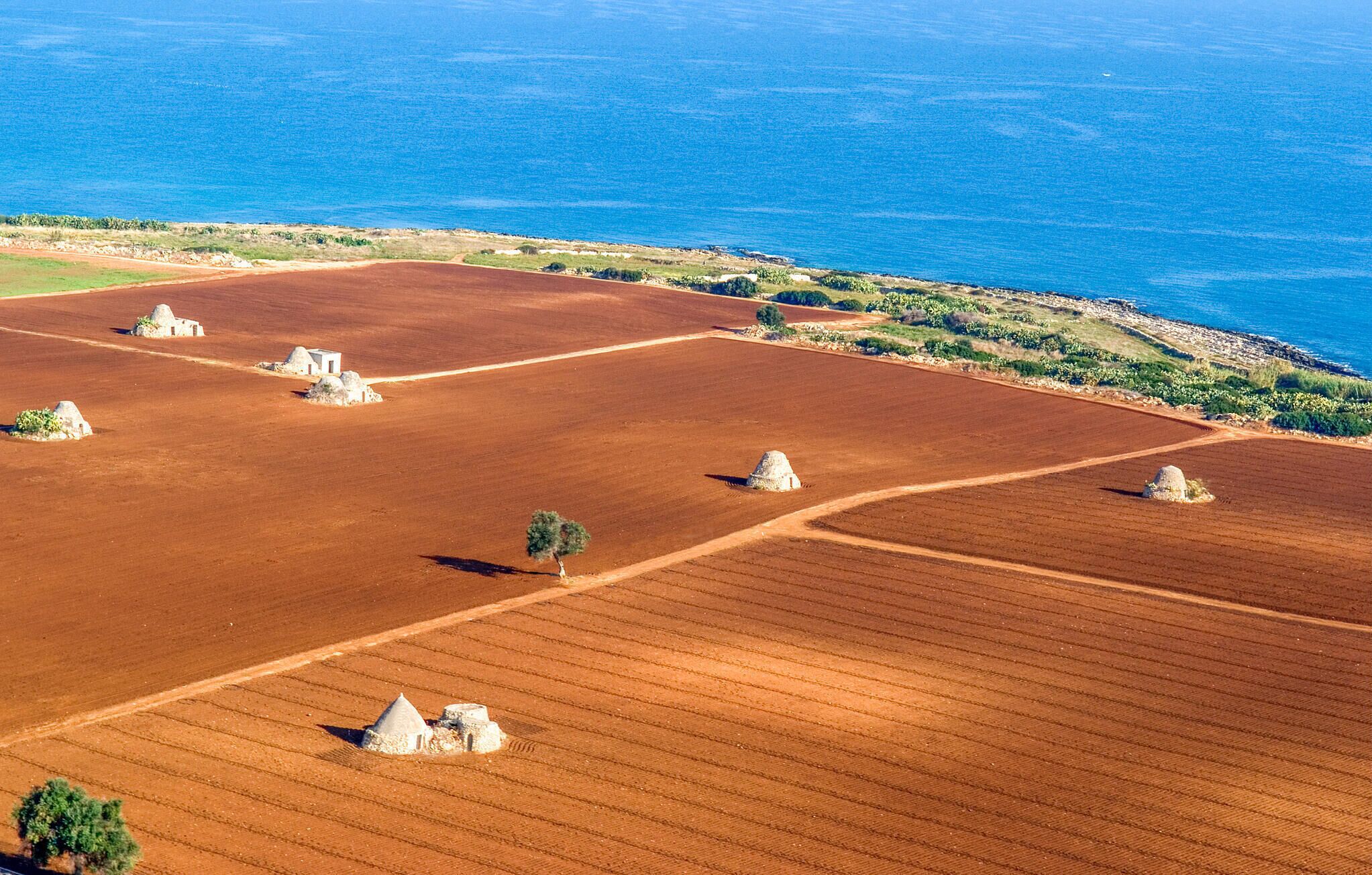An aerial view of a coastal landscape with terraced fields and scattered stone structures.