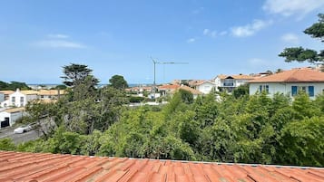 Vista dalla struttura