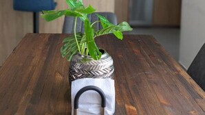 Taula de dinar amb una planta en test, un suport per draps de taula i una cuina moderna al fons.