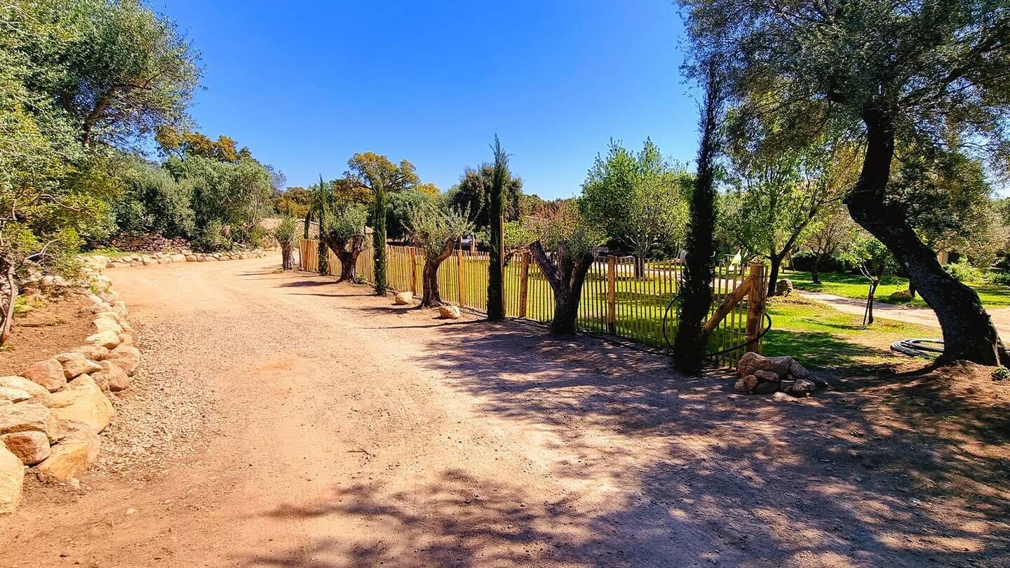 A dirt path flanked by trees and a wooden fence.