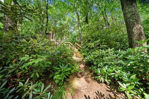 Property grounds - Riverdale - 4 bedroom with a hot tub- near the New River (Boone)