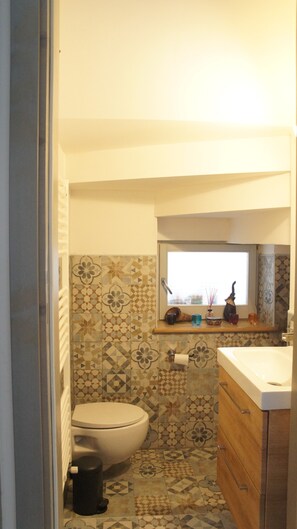 Shower, hair dryer, towels