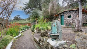 Um edifício de pedra com uma porta verde, rodeado por um caminho de brita e diversas plantas.