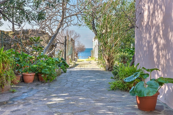 Un étroit sentier pavé, bordé de plantes en pot et flanqué d’un bâtiment d’un côté, mène à un point de vue sur la mer.