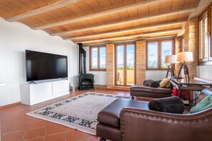 Televisión, chimenea