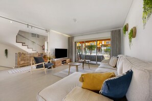 Televisor 