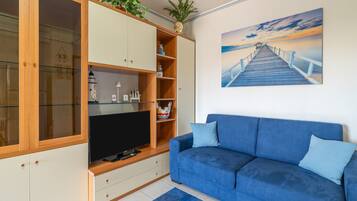 Fernseher