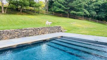 Piscine chauffée