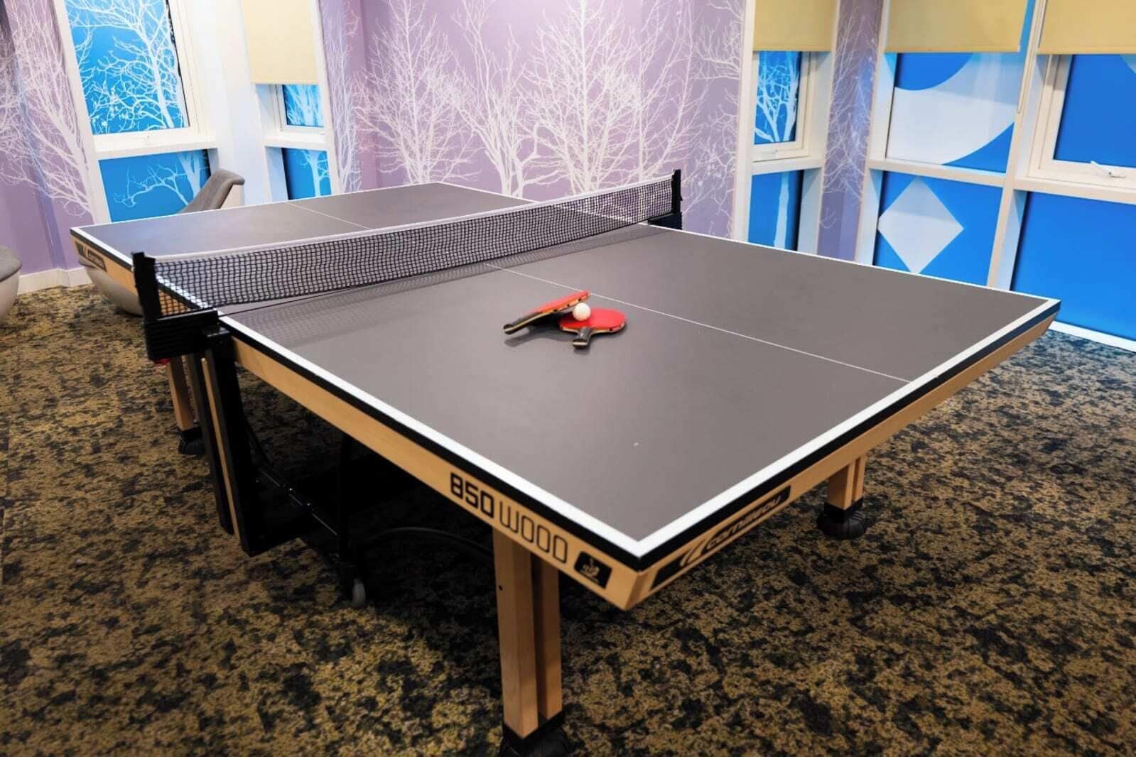 A ping pong table with a net in a room with a patterned carpet and a window with a tree design.