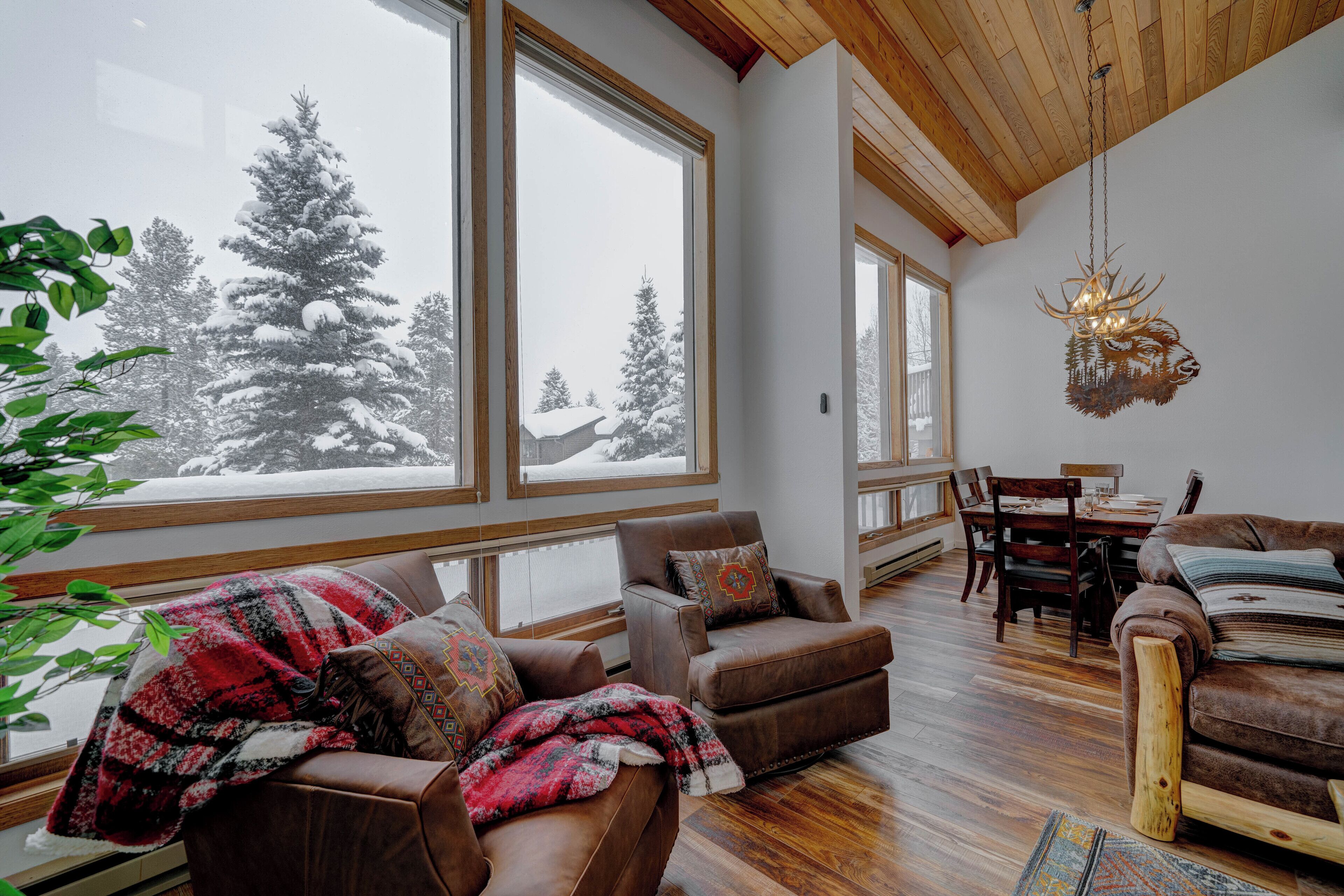 Smart TV, fireplace, DVD player, video library